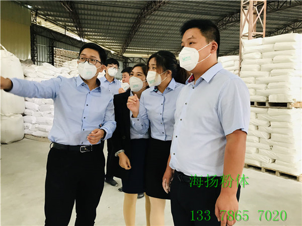 四川1000目云母粉厂家直销功能性粉体供应商